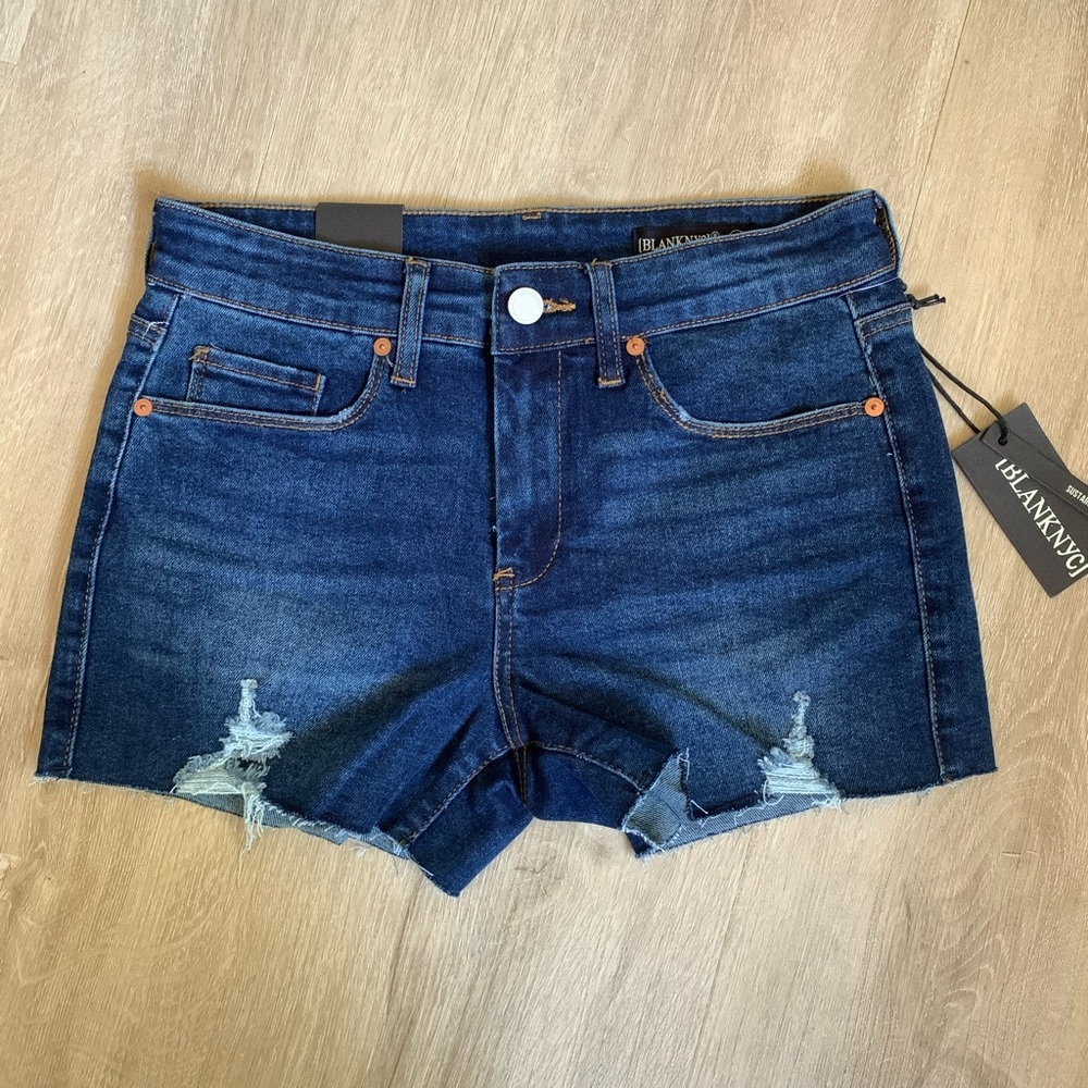 BlankNYC The Astor short